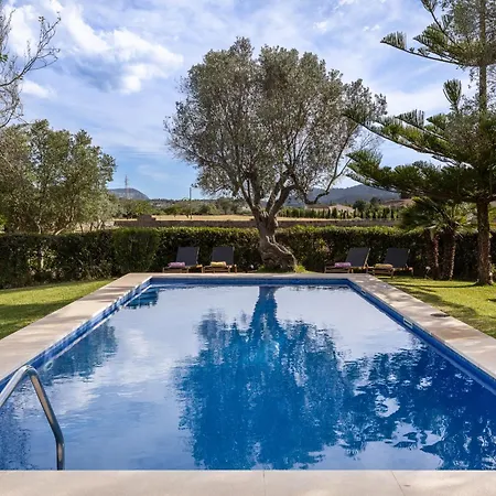 Almadrava - Puerto - Llenaire